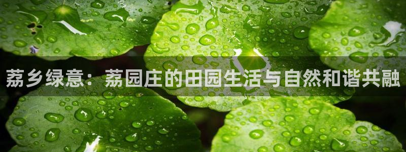 天辰娱乐appxi