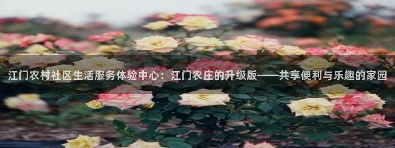 大庆天辰娱乐