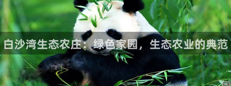 天辰娱乐链接