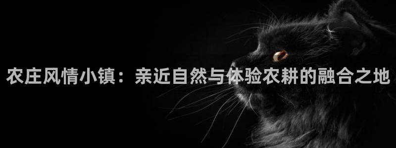 天辰娱乐平台地址