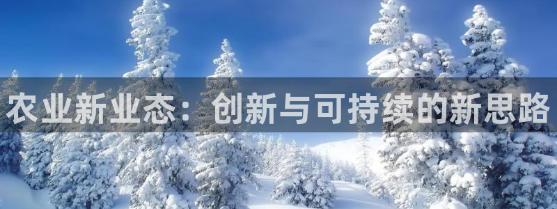 nba天辰娱乐