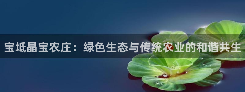 天辰娱乐60447