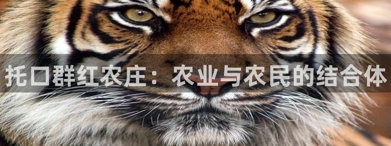天辰娱乐10086
