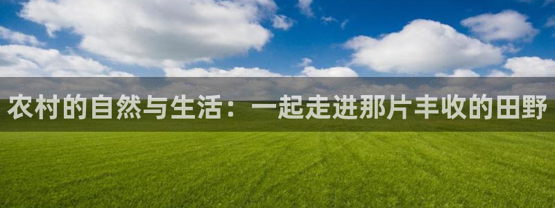 天辰娱乐直属