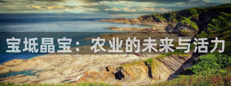天辰娱乐675138