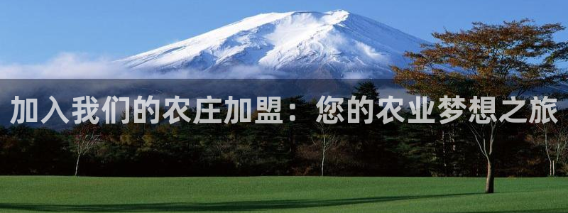 天辰娱乐老板