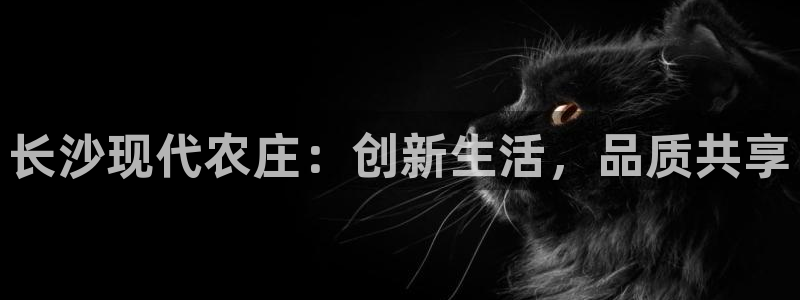 天辰娱乐游戏