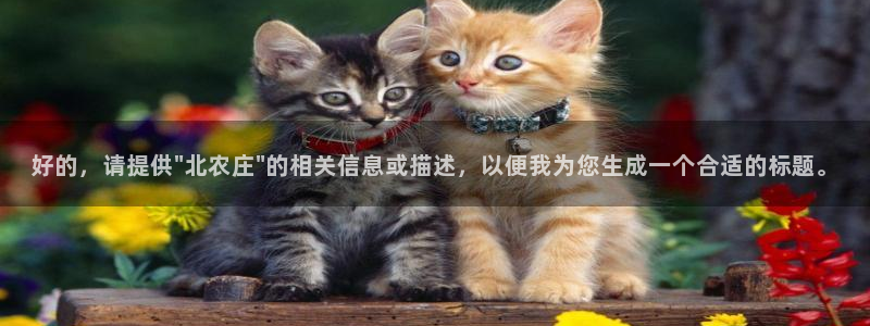 天辰娱乐官