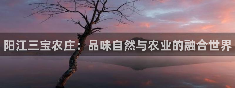 天辰娱乐赌博