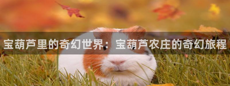 天辰彩票娱乐