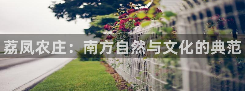 天辰娱乐论坛