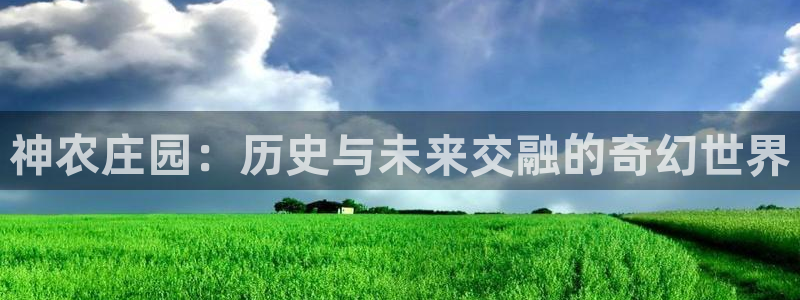 天辰娱乐分红