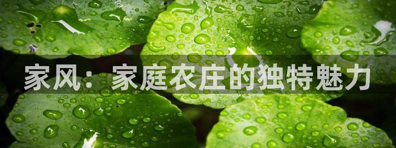 天辰娱乐会员