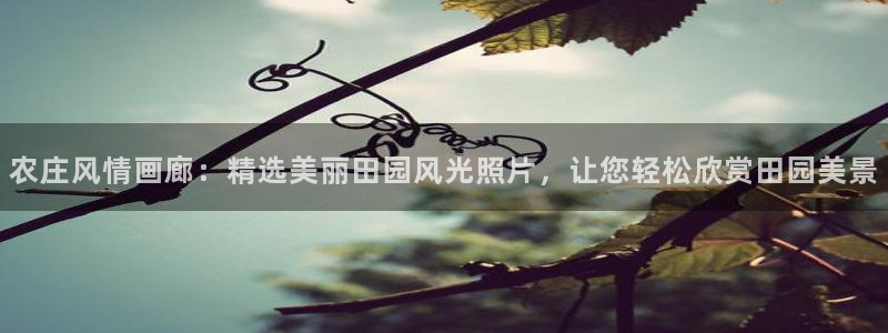 天辰娱乐平台地址在哪里