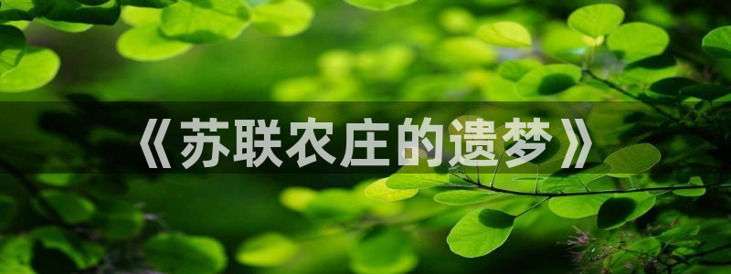 天辰娱乐主管
