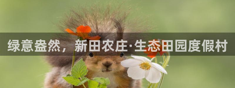 天辰娱乐游客
