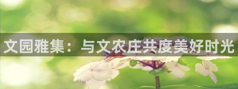 天辰娱乐天辰宝