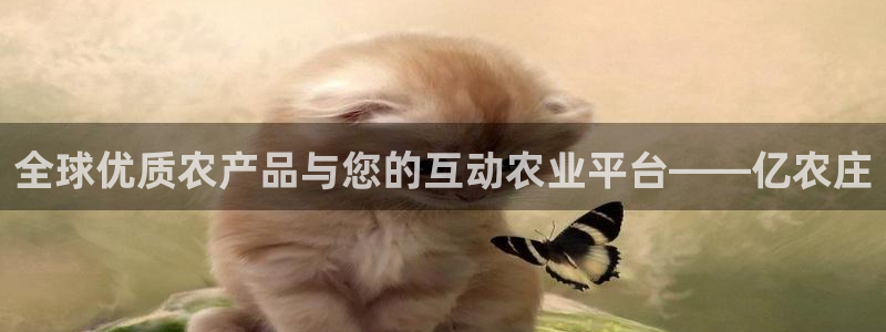 天辰娱乐欢乐