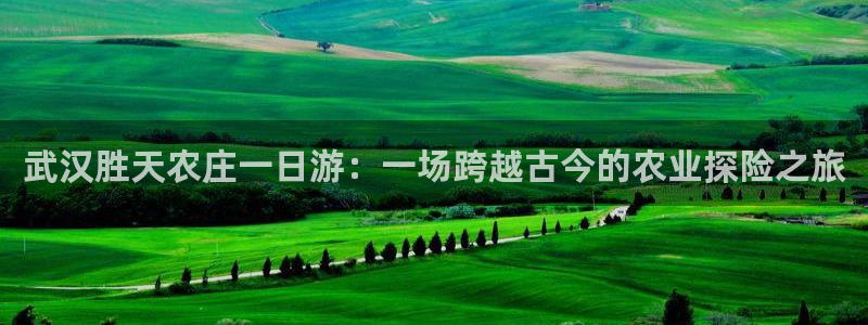 天辰娱乐游戏