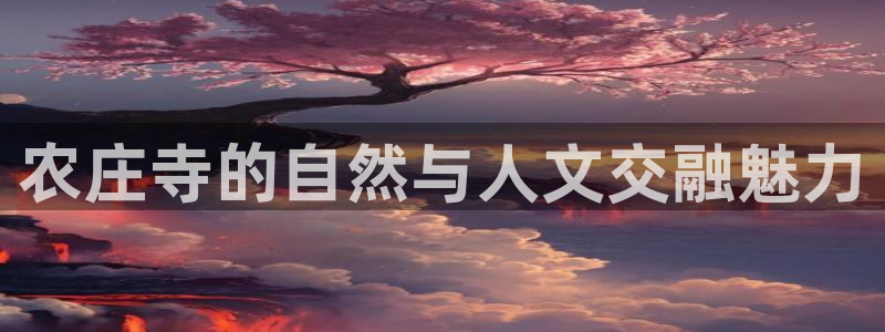 天辰娱乐平台靠谱么