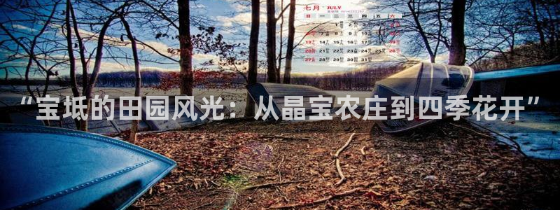 天辰app娱乐