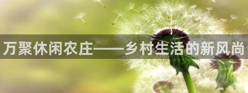 天辰娱乐分红