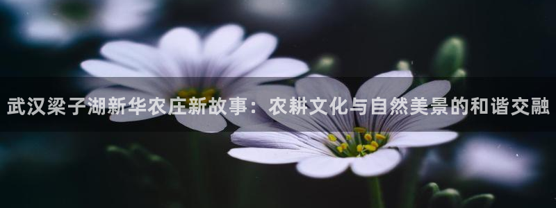 常州天辰娱乐
