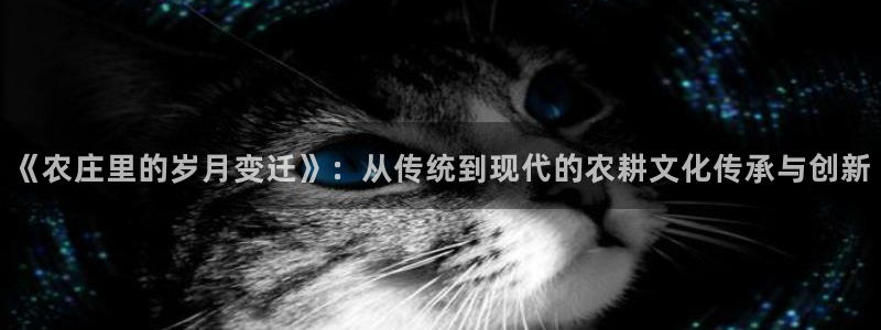 天辰娱乐网