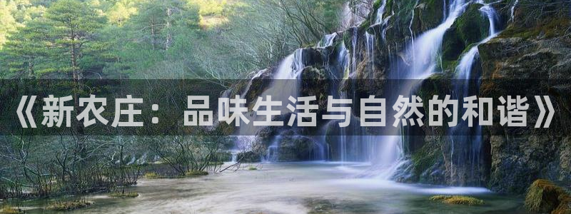 天辰娱乐957807