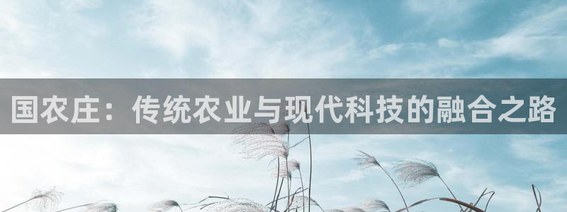 天辰娱乐平台安全吗