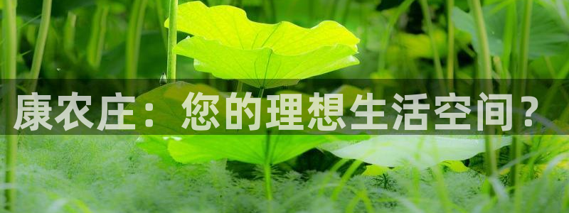 天辰娱乐新闻