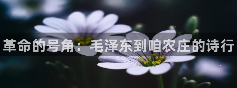 天辰娱乐内部