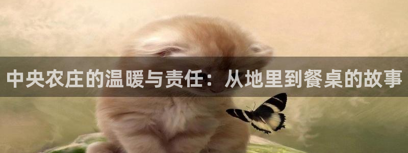 常州天辰娱乐