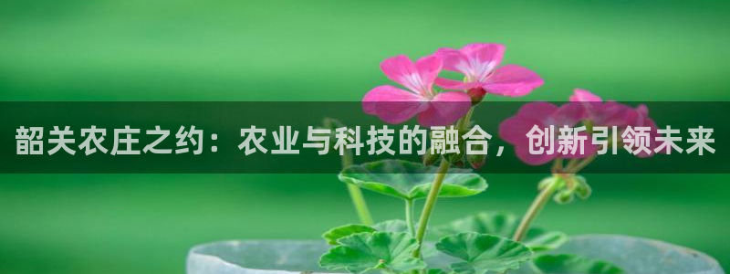 天辰娱乐挂机