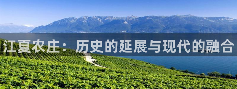 天辰娱乐老板