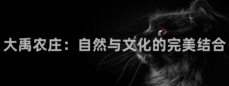 天辰娱乐下载地址