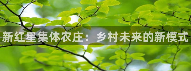 天辰娱乐557448