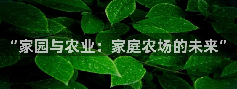 天辰娱乐44516