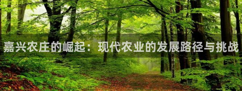 天辰娱乐app