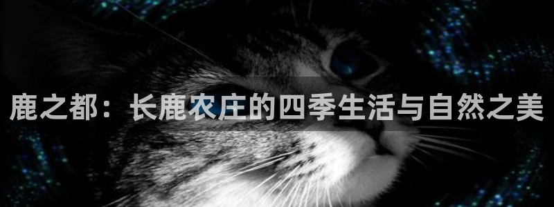 天辰娱乐视频