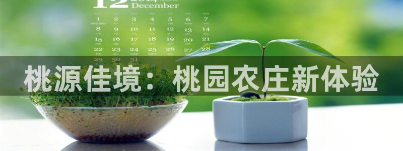 天辰国际娱乐