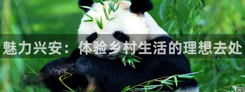 天辰娱乐小妹