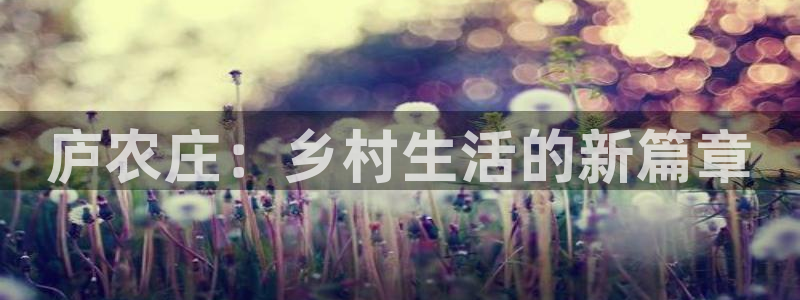 天辰娱乐网