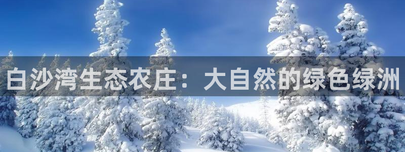 天辰娱乐61116