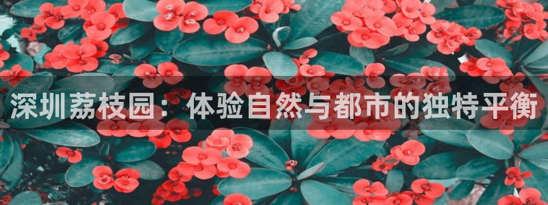 大庆天辰娱乐