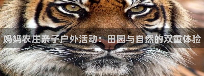 天辰娱乐主页