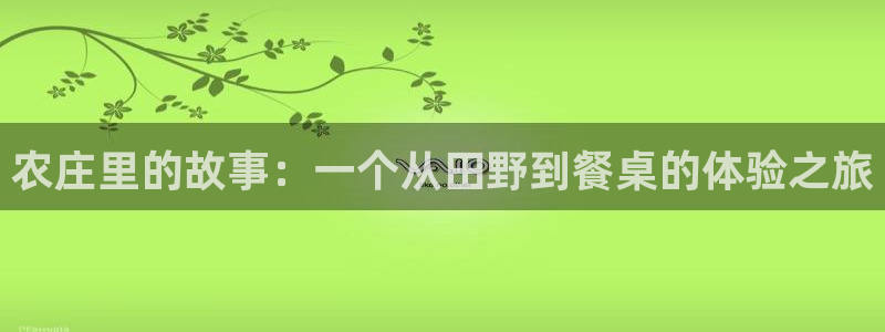 天辰娱乐44516