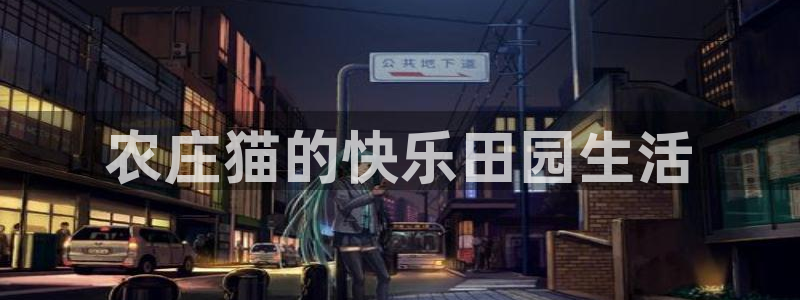 天辰娱乐 主管