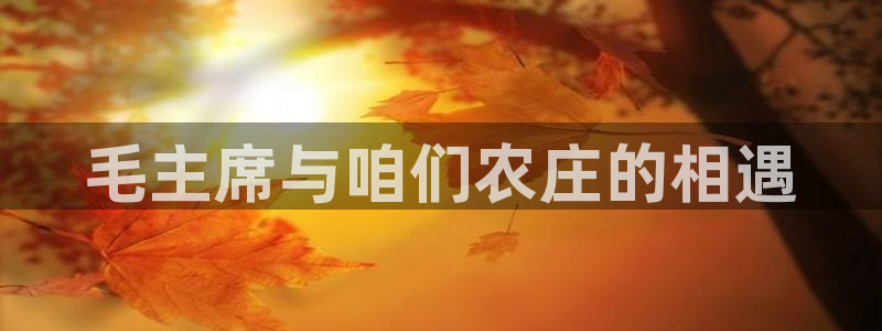 天辰娱乐平台登录账号