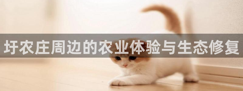 天辰娱乐10086